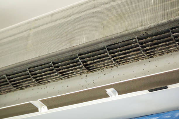 Best Best Air Duct Cleaning Company  in Lookout Mountain, GA